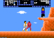 Karate Champ