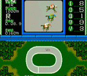 Игра Keiba Simulation – Honmei