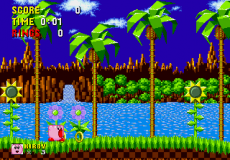Kirby in Sonic the Hedgehog