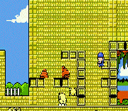 Kiwi Kraze – A Bird-Brained Adventure!
