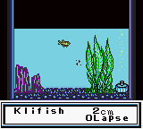 Игра Legend of the River King GB