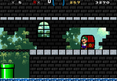 Luigis Story