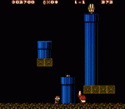 Mario Evolution!