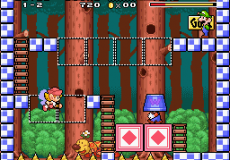 Mario & Wario (Joypad)