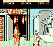 Master Fighter II