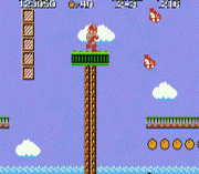 Mega Man in SMB1