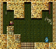 Mega Man Showdown I