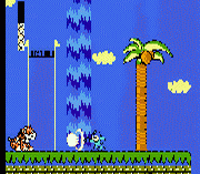 Mega Man V Indonesia