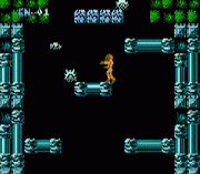 Metroid Master