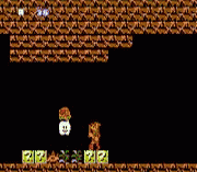 Metroid Quest