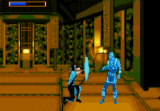 Игра Mortal Kombat 5