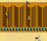 Motocross Champion