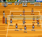 Multi Play Volleyball