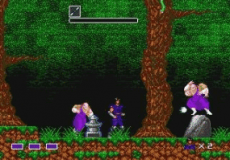 Mystic Defender