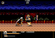 Mystical Fighter