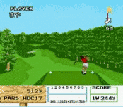 Namco Open