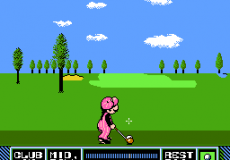NES Open Tournament Golf