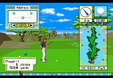 New 3D Golf Simulation: Devil's Course