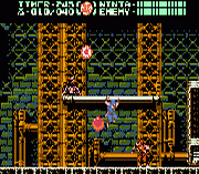 Ninja Gaiden Episode III – The Ancient Ship of Doom