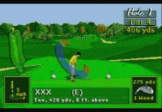 PGA Tour 96