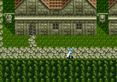 Игра Phantasy Star III: Generations of Doom