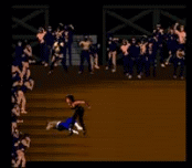 Pit Fighter