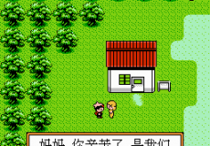 Pocket Monsters Silver (pokemon)