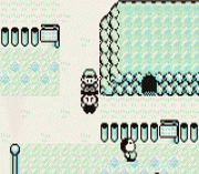 Игра Pokemon Black Special Palace Ed.
