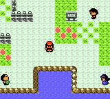 Игра Pokemon Bronze (female version)