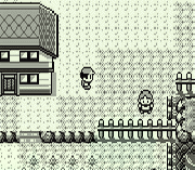 Игра Pokemon Brown 2009 (red hack)