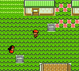 Игра Pokemon Crystal World (hack)