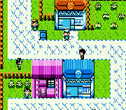 Pokemon Diamond II