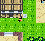 Игра Pokemon Hoenn League (beta 1.1)