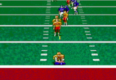 Pro Quarterback