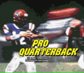 Игра Pro Quarterback