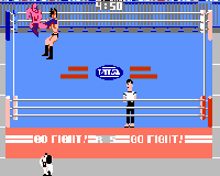 Pro Wrestling