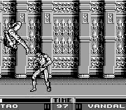Игра Raging Fighter