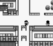 Игра Ranma Nibun no Ichi – Kakugeki