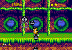 Ristar