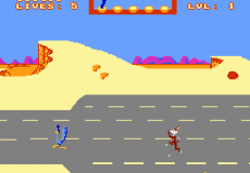 Road Runner (video game)