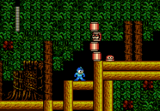 Rockman 2 - Gray Zone