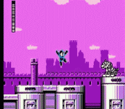 Rockman 5 Endless