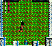 Rockman TP