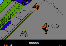 Rollerblade Racer