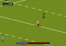 Rugby World Cup 1995