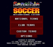 Sensible Soccer - International Edition