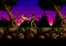 Shadow of the Beast II
