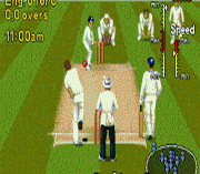 Shane Warne Cricket