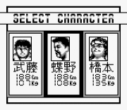 Игра Shin Nihon Pro Wrestling