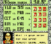 Shingen The Ruler